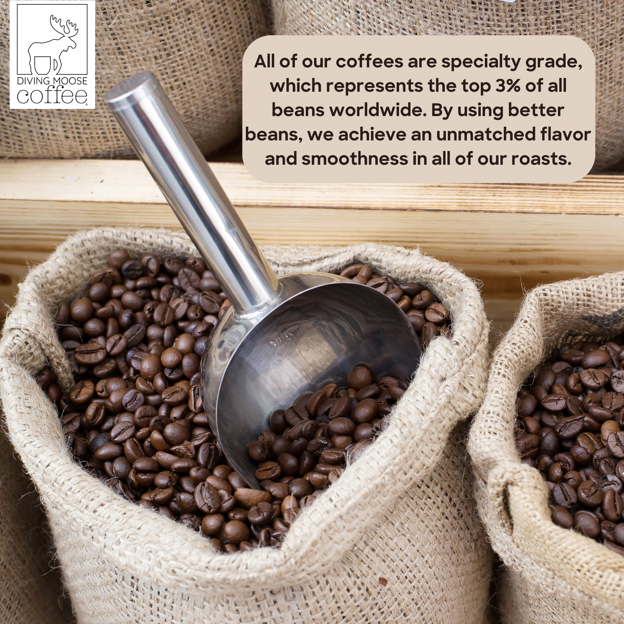 The Diving Moose Signature Medium-Dark Roast Blend