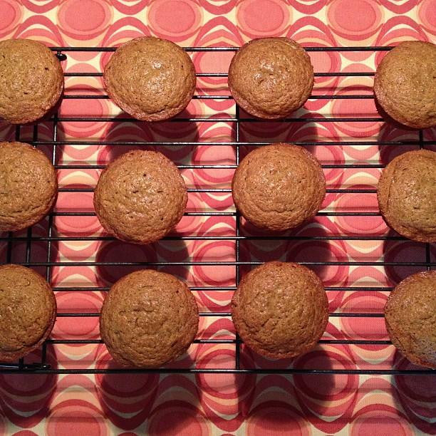 gfJules Gluten Free Muffin Mix