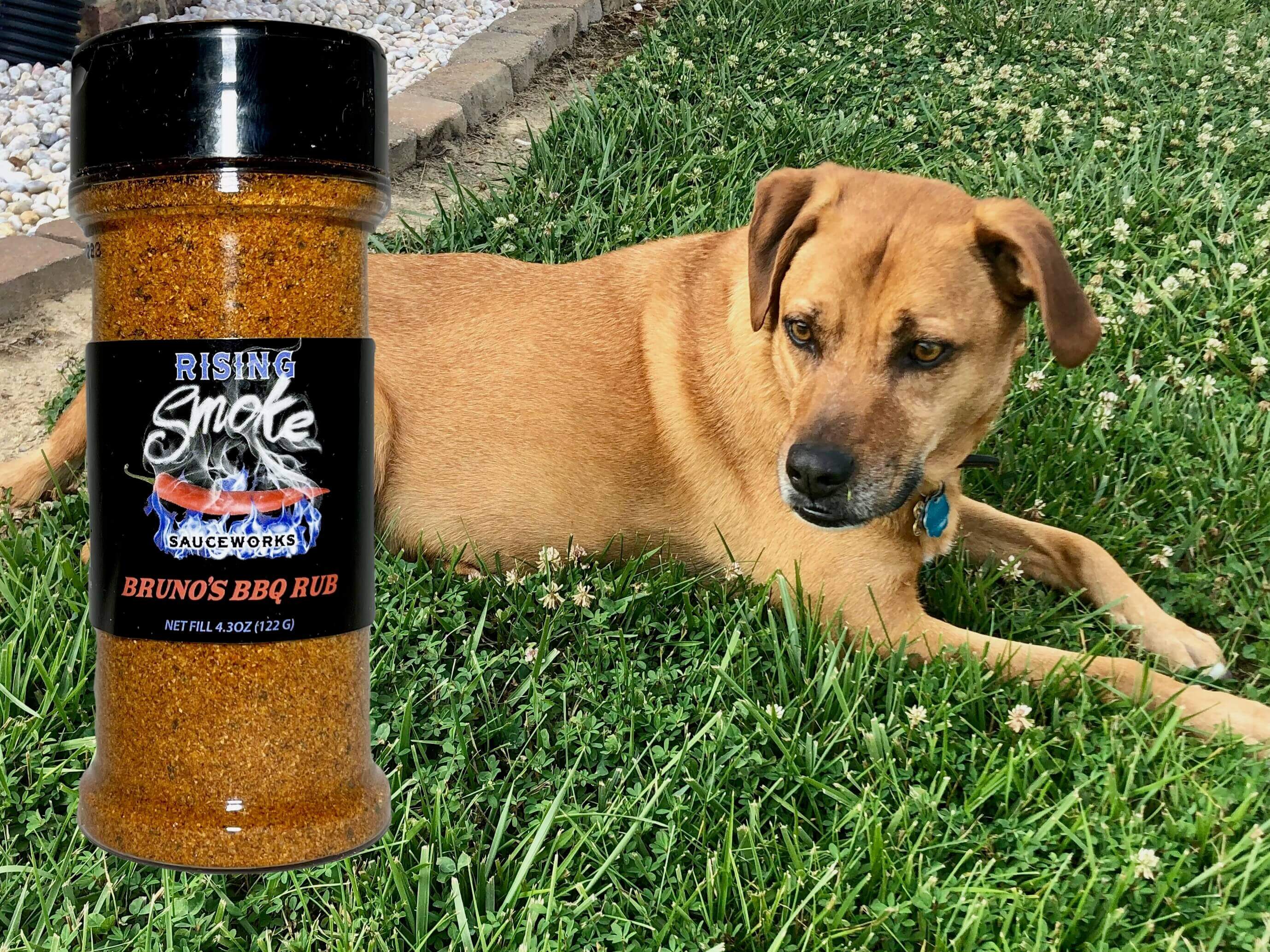Bruno's BBQ Rub (Mild)