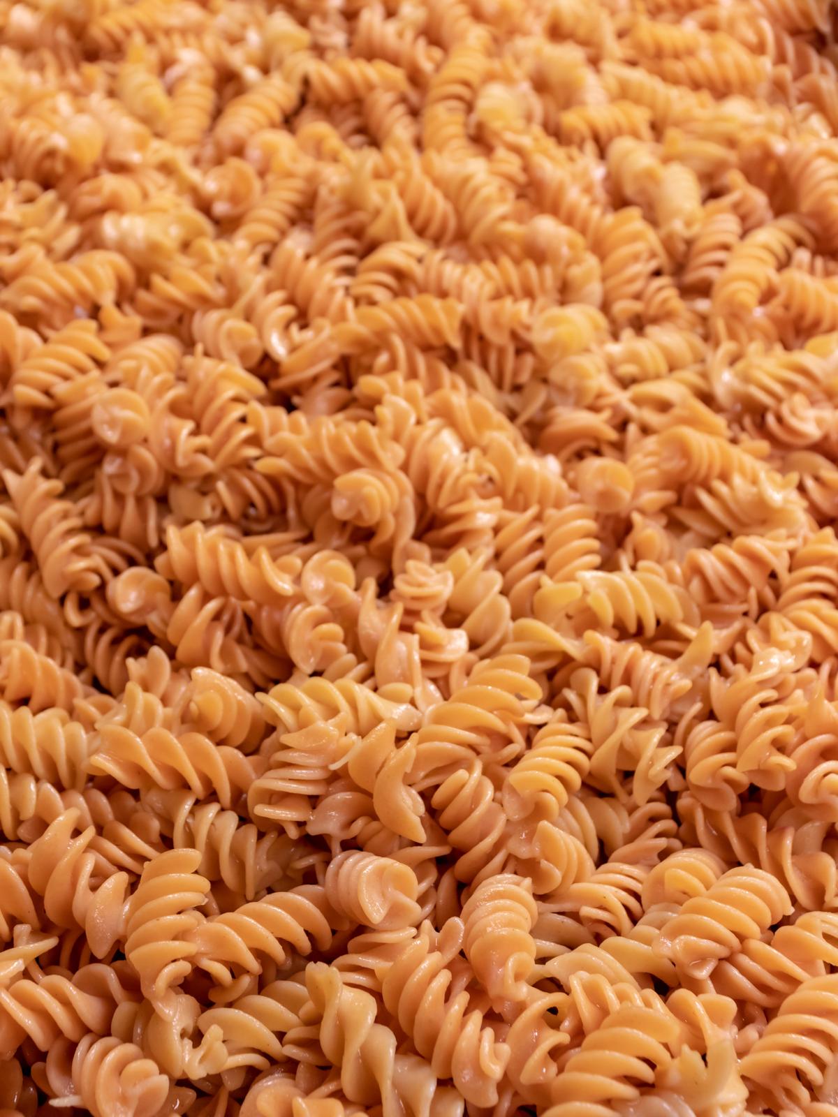 Artisanal Gluten Free & High Protein Pasta - Fusilli - 6 pack