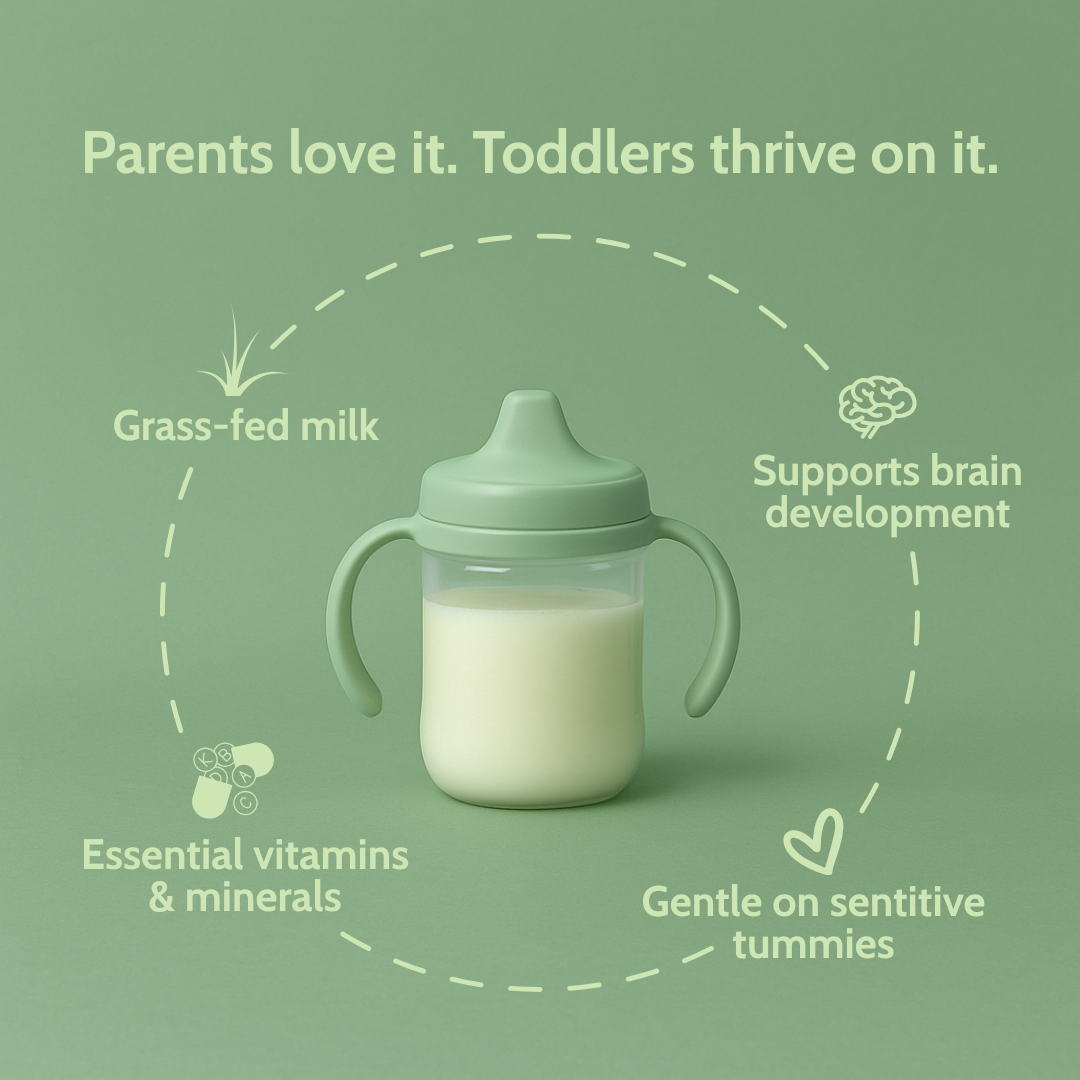 Holle Goat Milk Toddler Drink | Stage 3 (14 oz)