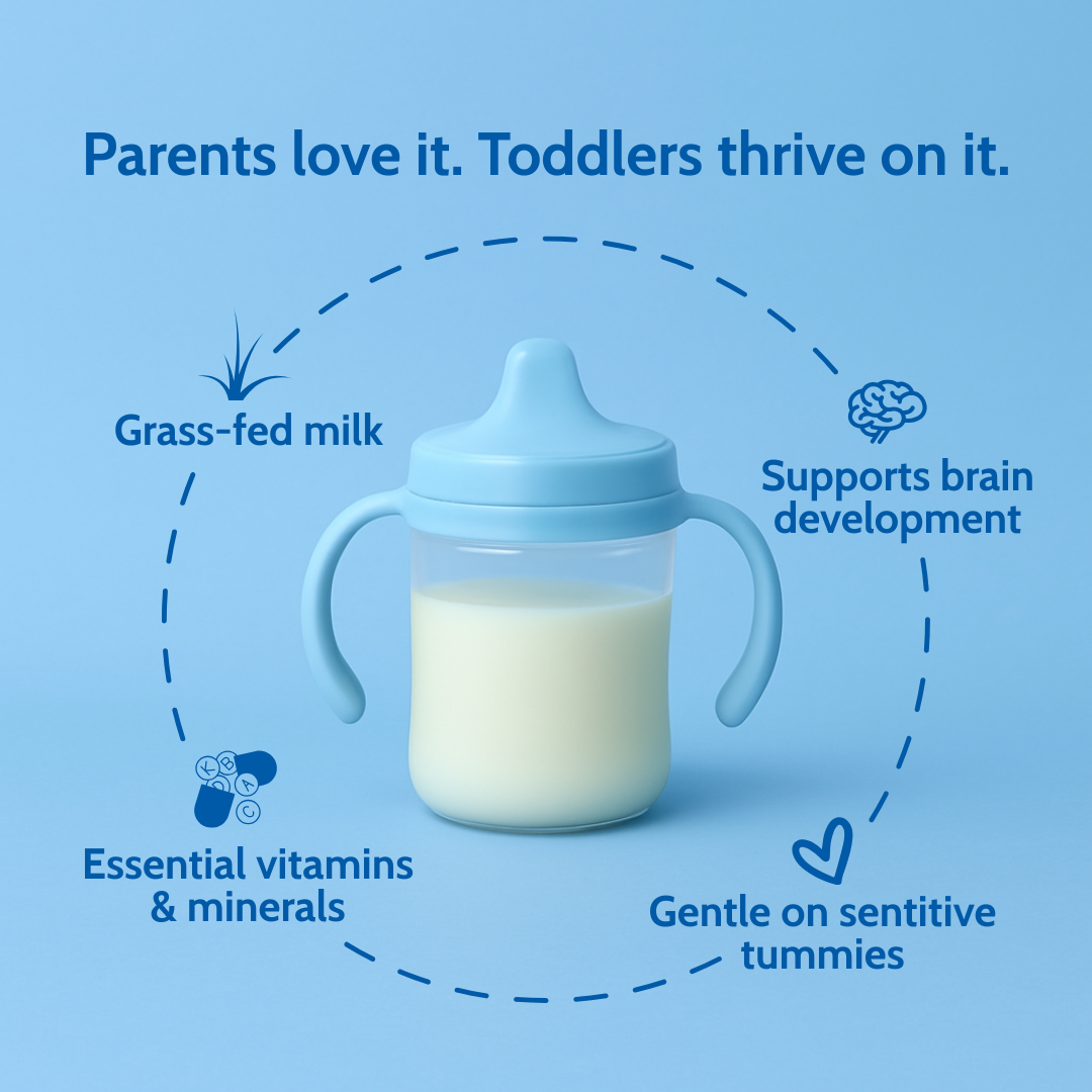 Holle Cow Milk Toddler Drink | Stage 3 (14 oz)